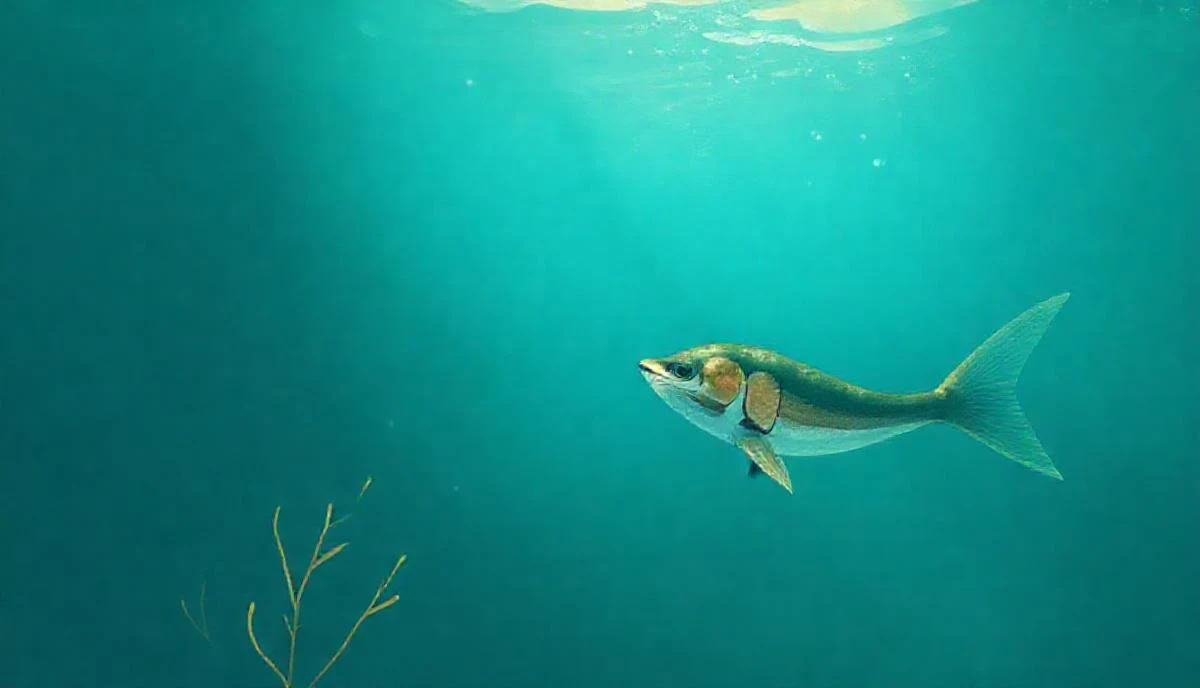O que aprendemos com a pesca maravilhosa? Lições bíblicas